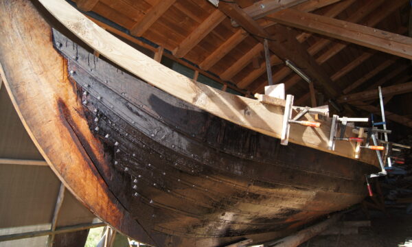 SONY DSC