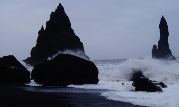 SONY DSC