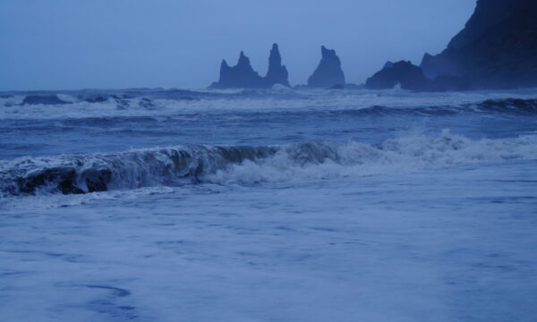 SONY DSC